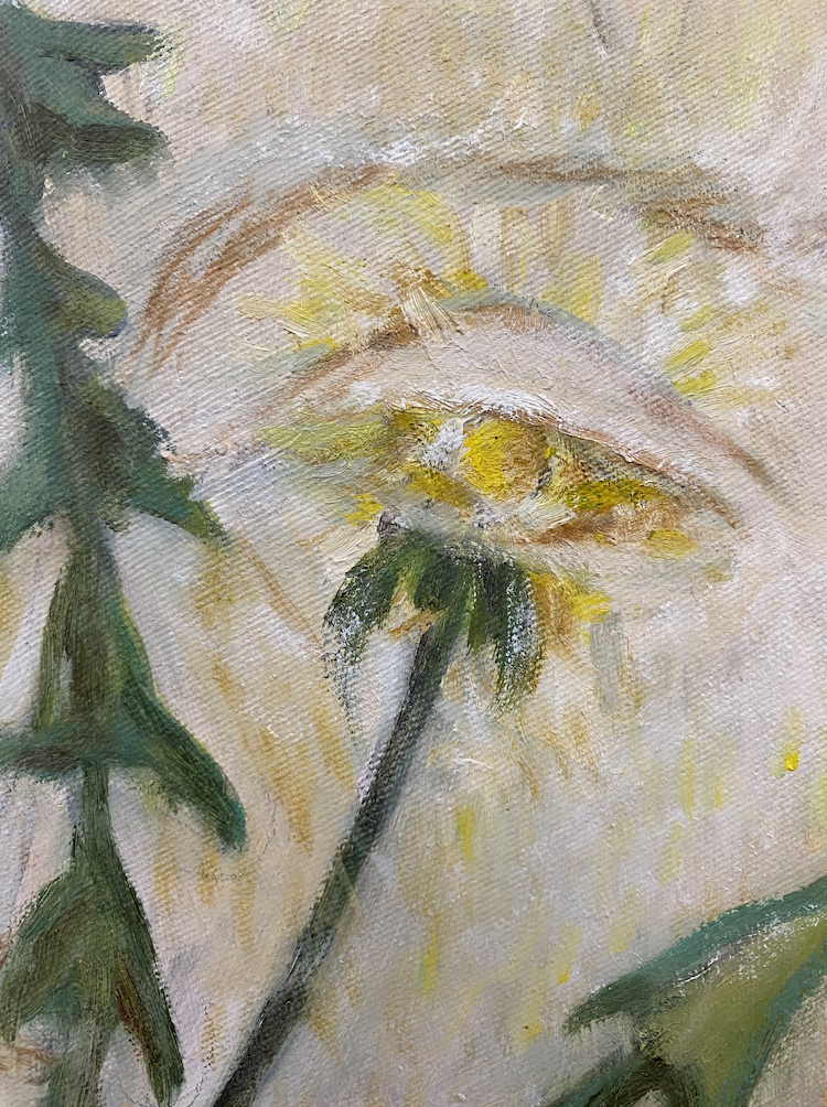 Detail of Dandelions by Meret Krasa