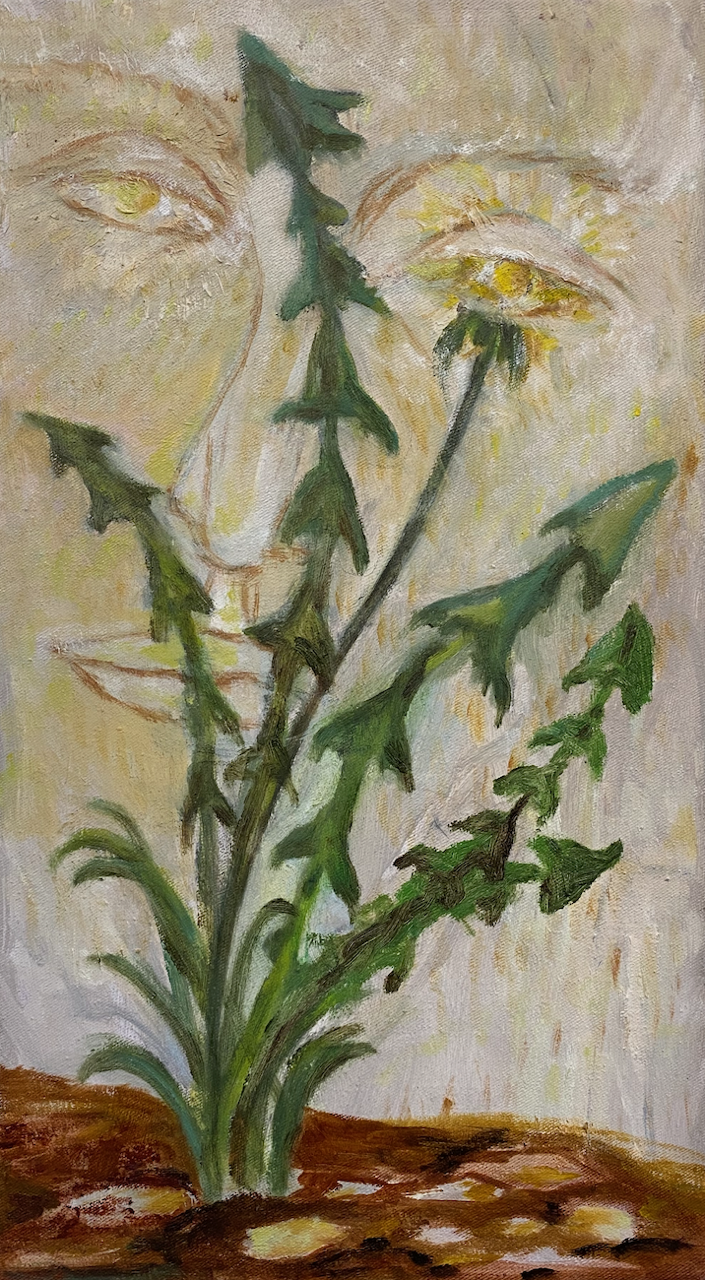 Dandelions by Meret Krasa