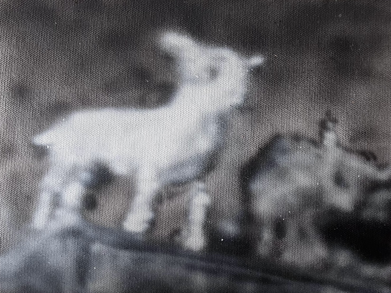 Sheep by Folke Ignestam
