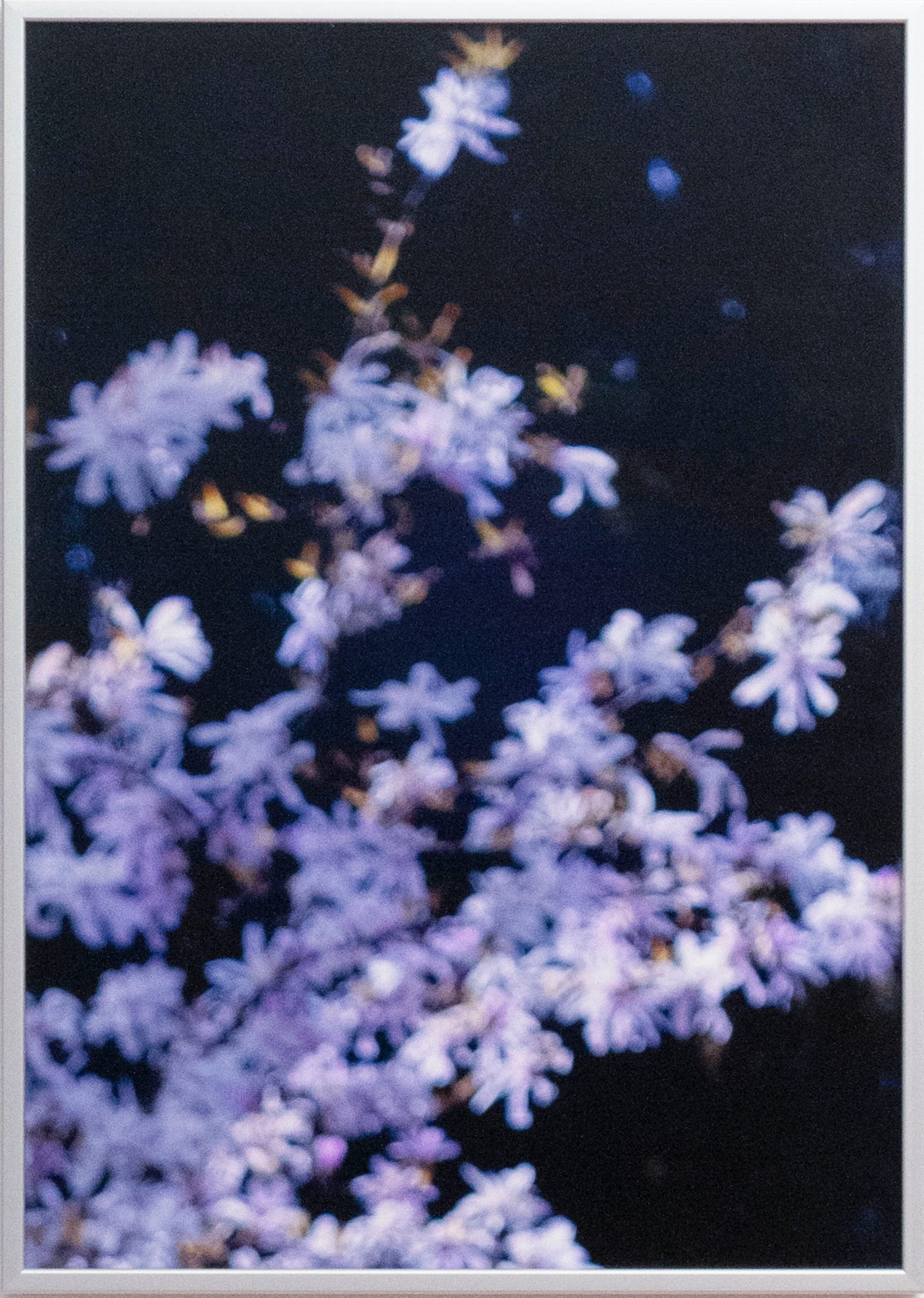 Blomstre by Casper Cosmus Alsøe
